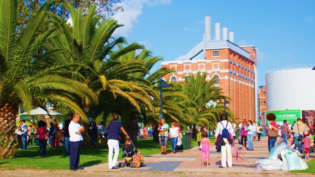 Um evento verde e... empreendedor!