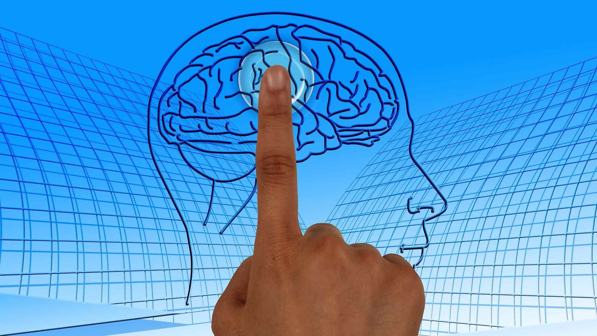 Comunicar bem – Uma questão de falar com o cérebro certo!