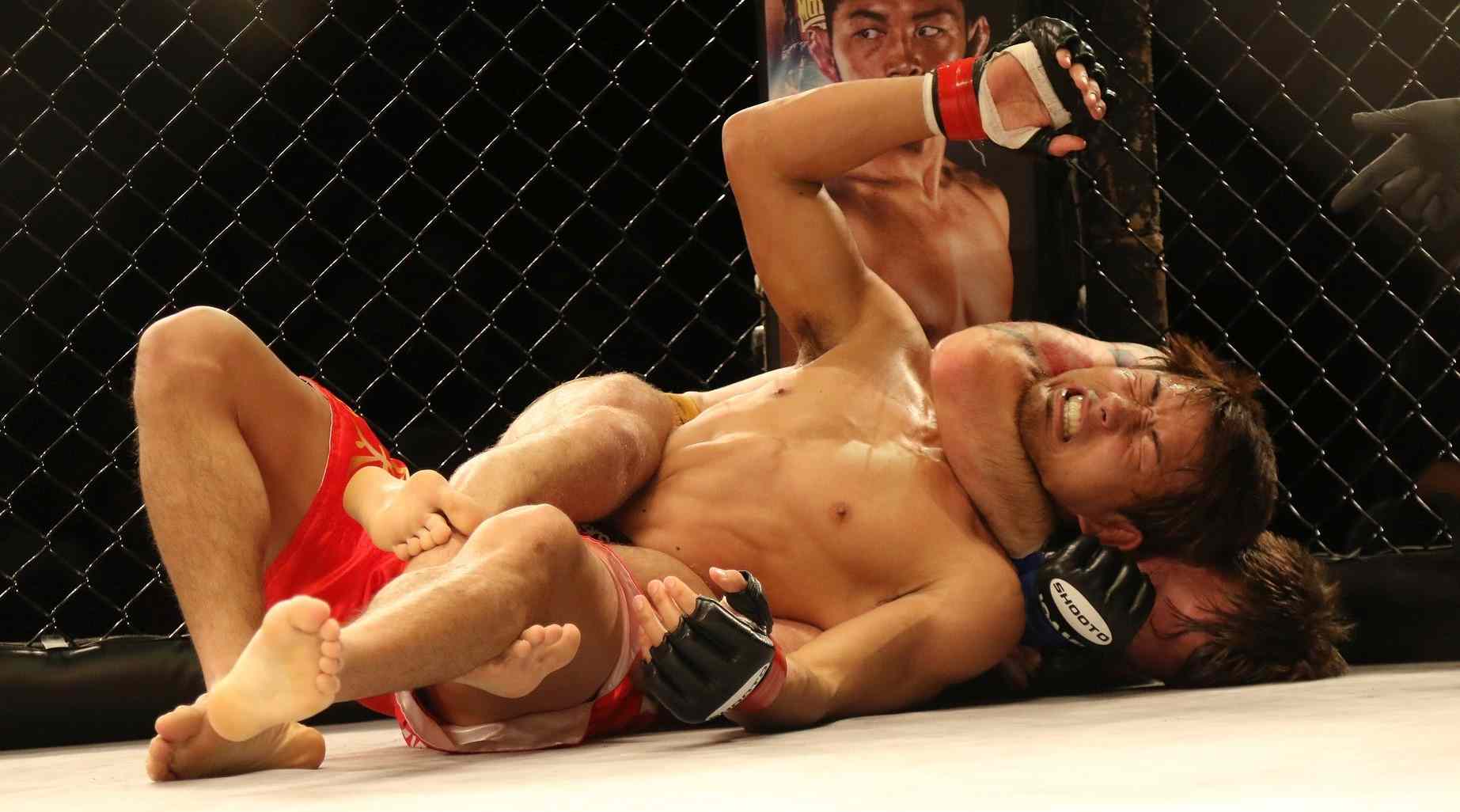 As 3 maiores lições de lutadores e empreendedores que sabem Recomeçar