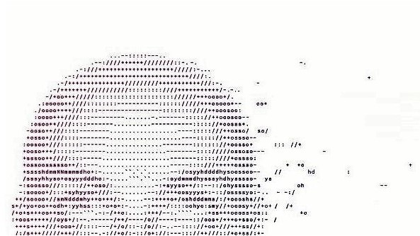 Os novos desafios da Formação Profissional