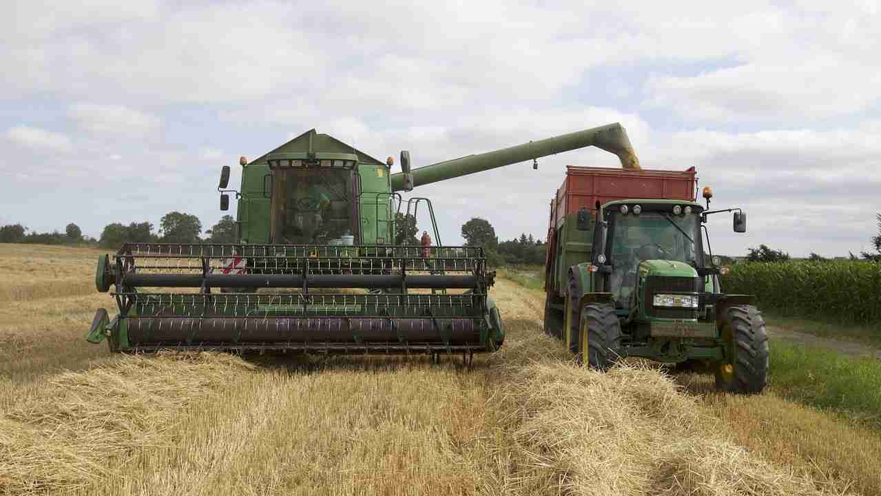 Fileira agroalimentar gera novos negócios