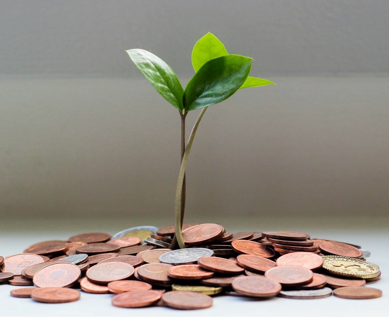 $PACT: O Token de impacto social