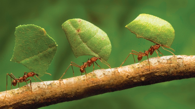 Seguir em frente quando tudo corre mal