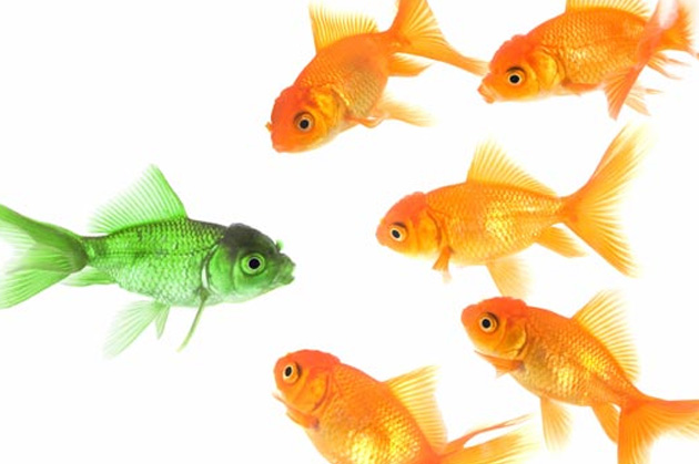 Checklist - 15 formas de dar visibilidade ao seu projeto