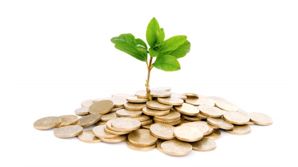 O Incentivo da 'Semente'