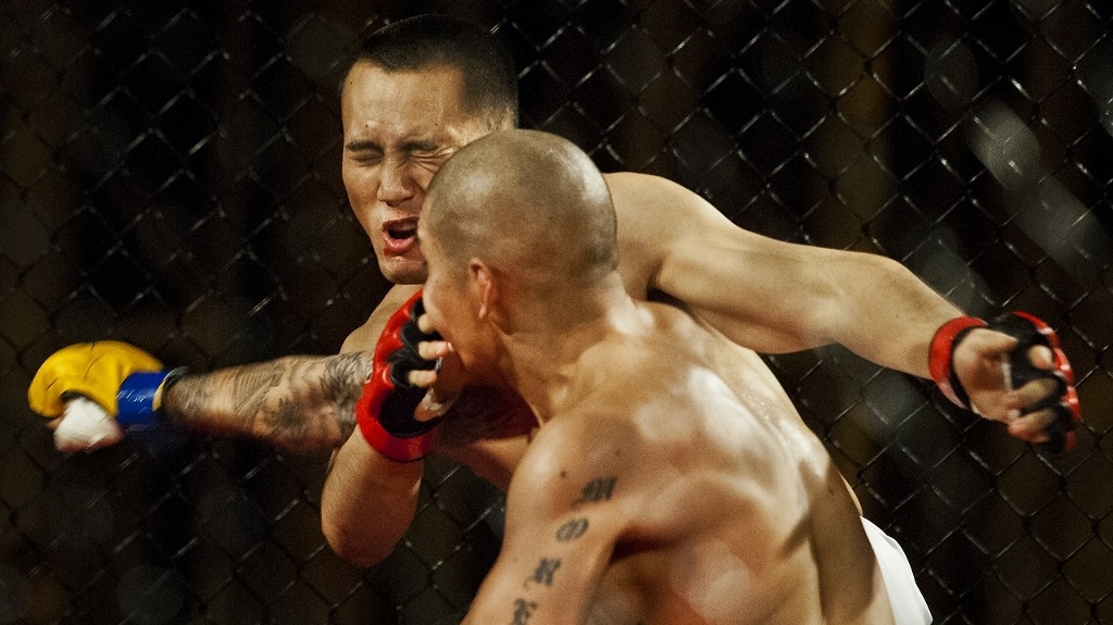 A grande lição empreendedora ao levar um soco na cara