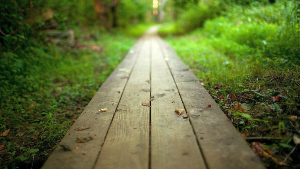 5 formas de fazer as coisas à minha maneira