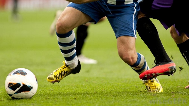 Realfevr - A startup para criar treinadores