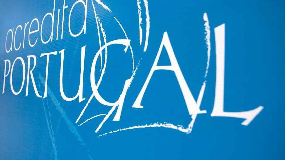 Descobrir novos empreendedores