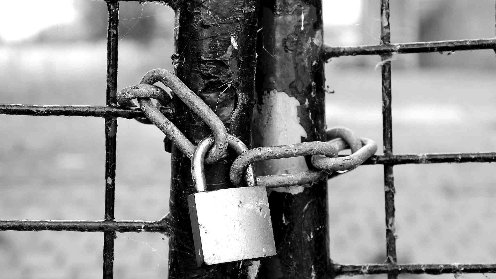 Porque morrem os novos negócios?