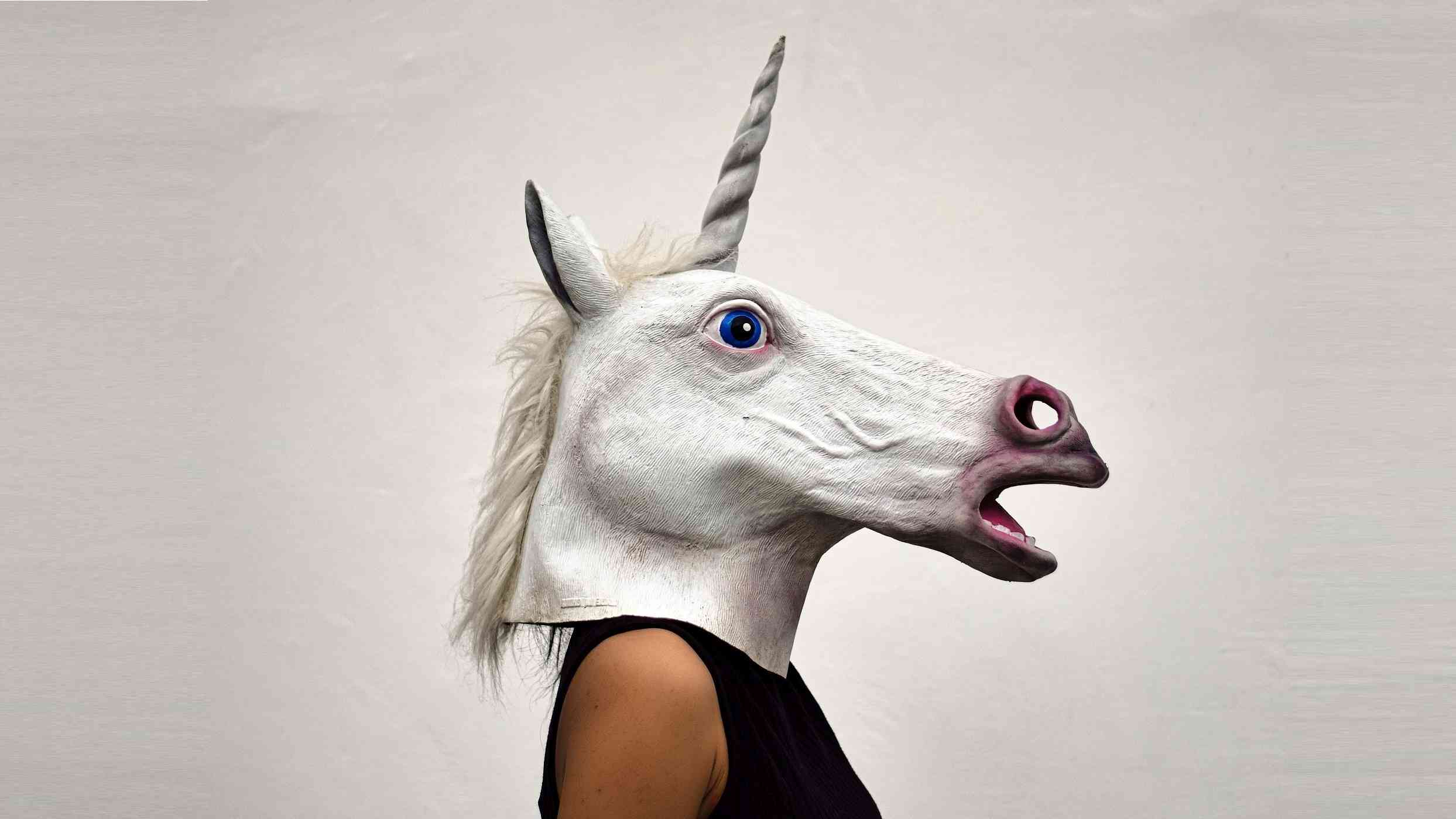 “Unicórnios” captam maior investimento de sempre em capital de risco