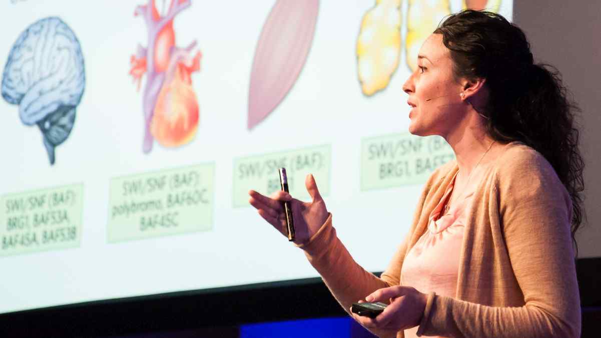 Singularity University procura startups em Portugal