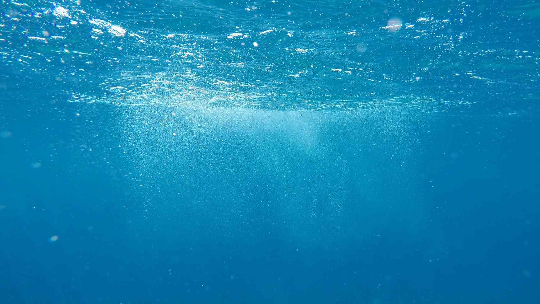 Programa Blue Bio Value premeia startups ligadas à Bioeconomia do Mar