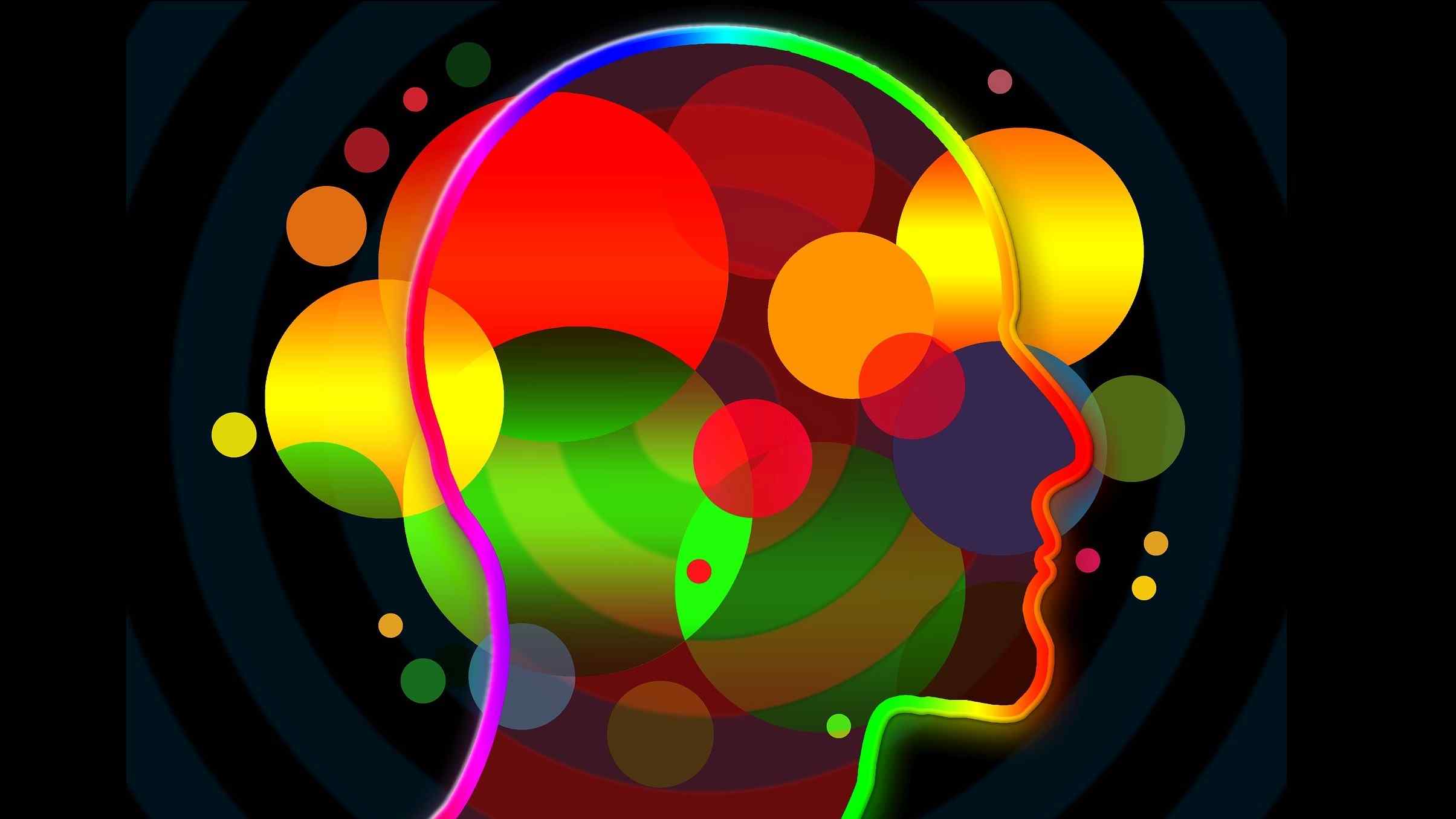 A Génese da Criatividade