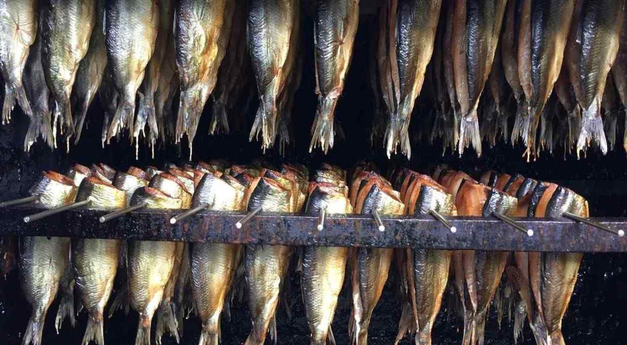 Projeto para defumar o peixe vence Concurso de Ideias de Negócio do projeto AgriEmpreende