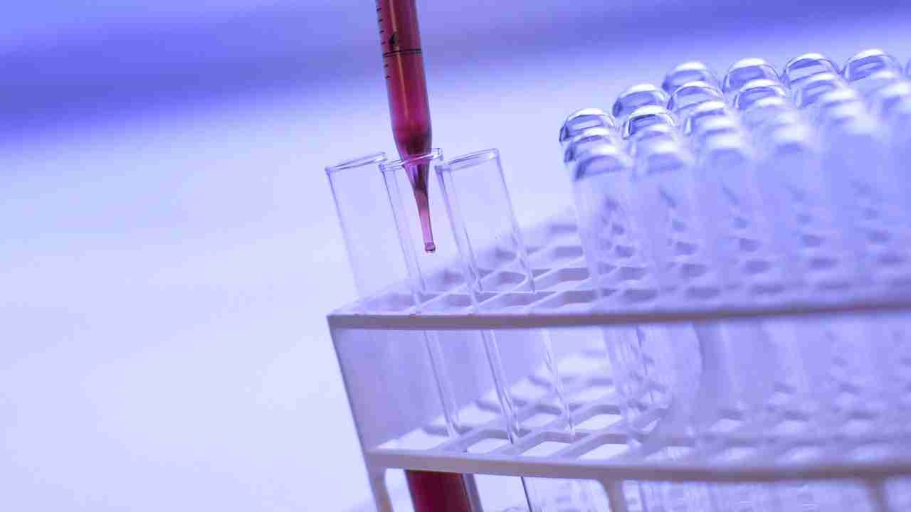 Blue Bio Value abre candidaturas para startups ligadas à Bioeconomia Azul