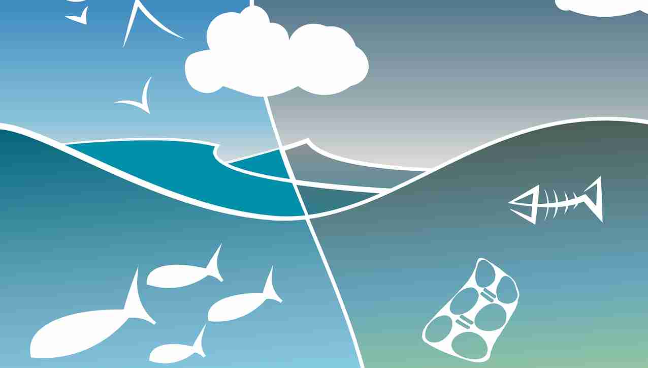 7 Seas Summit – O evento para startups com soluções na Blue Economy