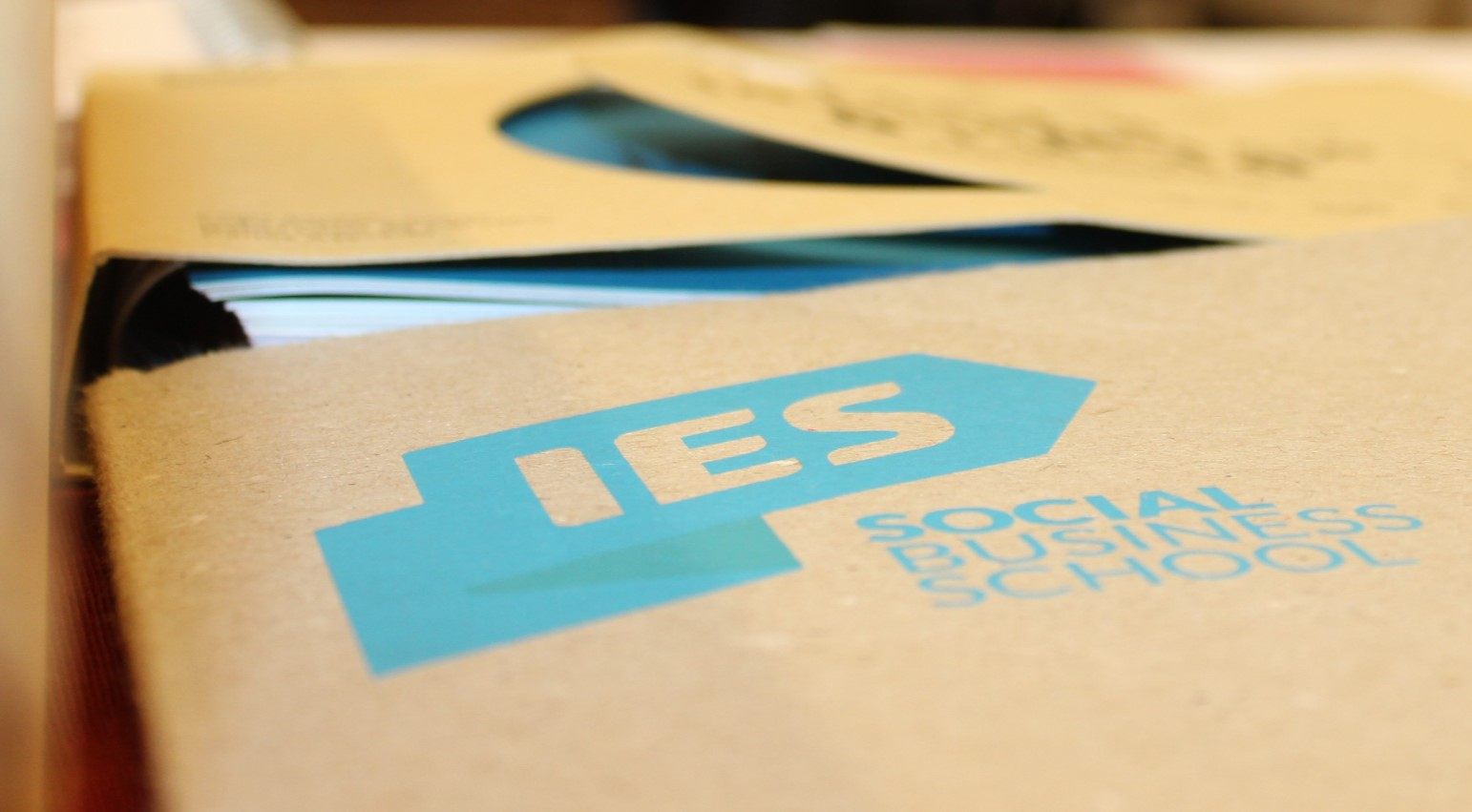 IES assinala 10 anos com nova imagem