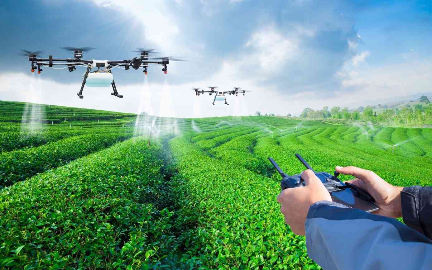 ISQ desenvolve soluções para uma agricultura inteligente