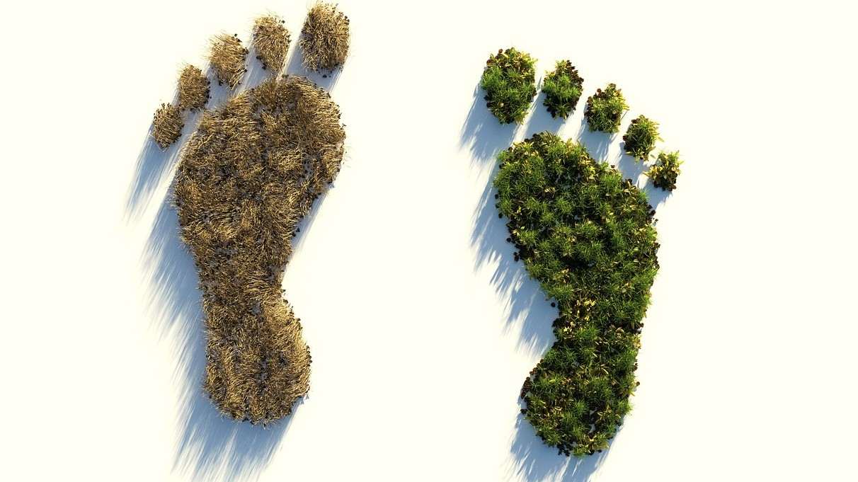 Construir um mundo sustentável através da inovação em TIC