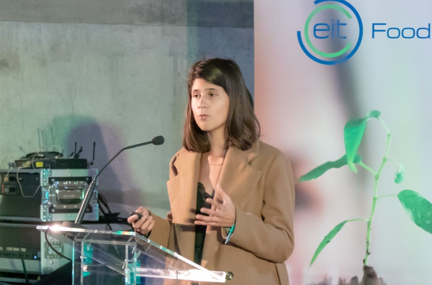 BGI procura criativos para combater desperdício alimentar