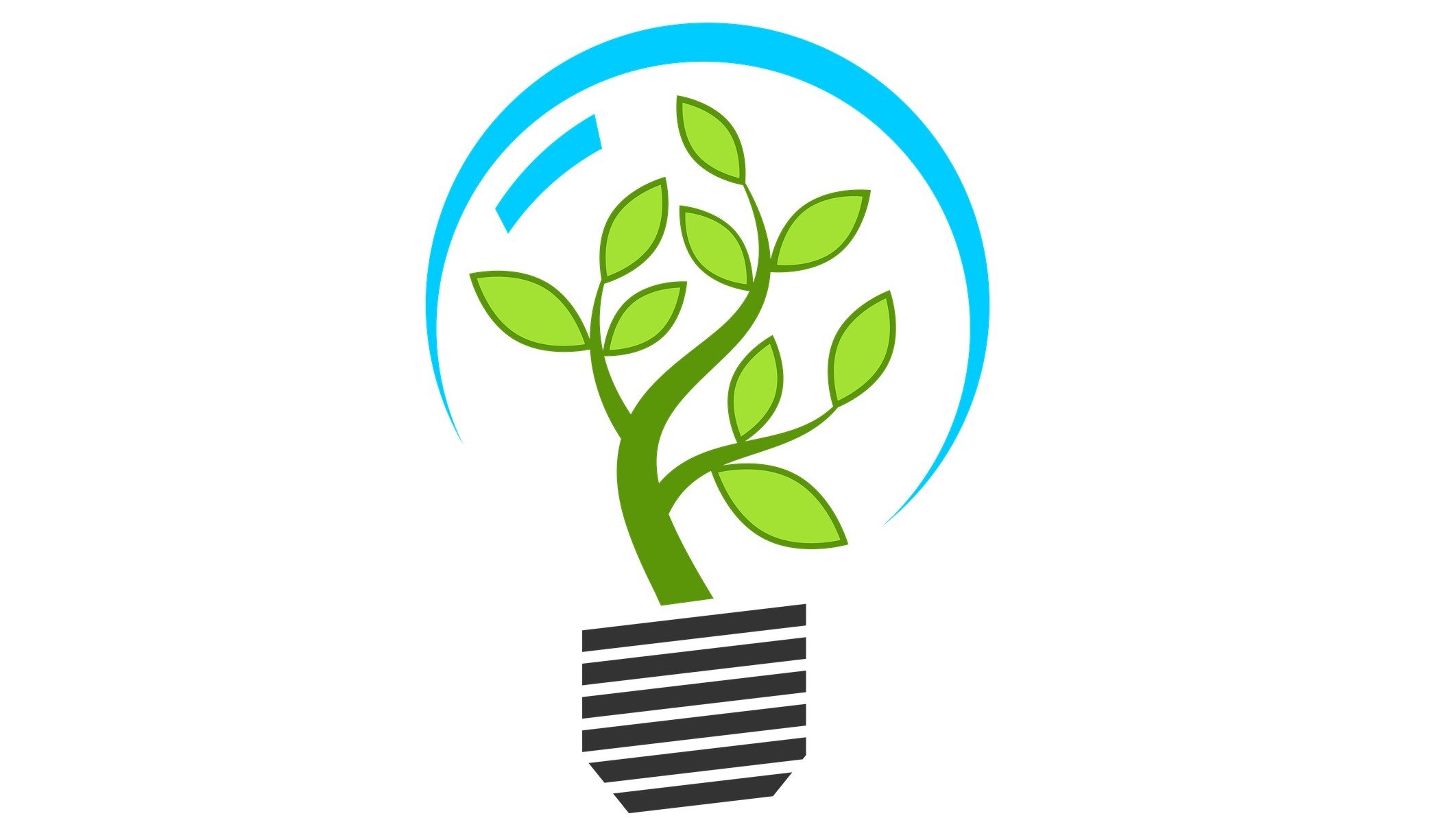 Porto Business School debate a sustentabilidade nas empresas