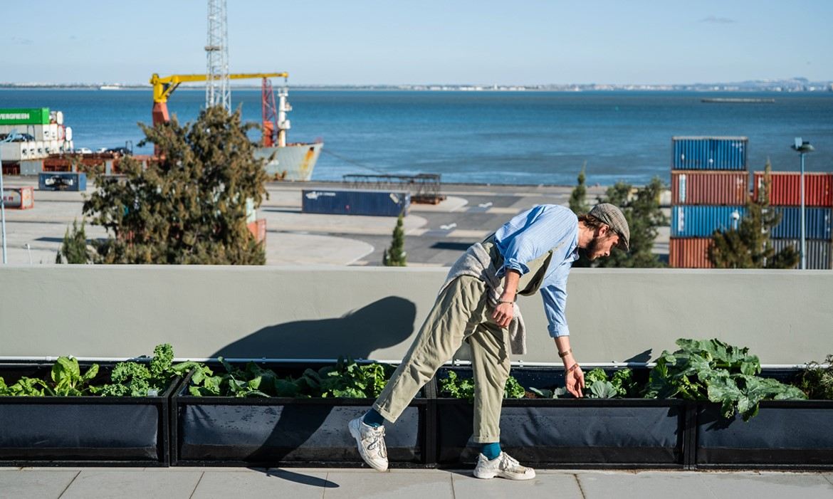 Noocity desafia as empresas a “pôr as mãos à horta”