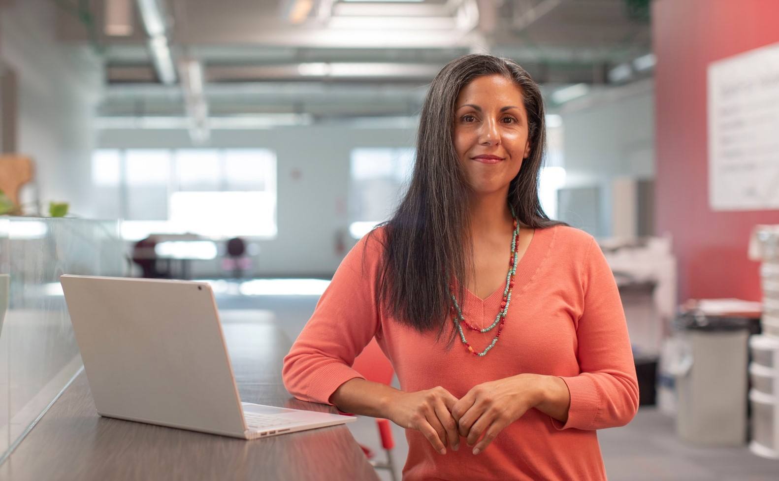 A mulher contabilista