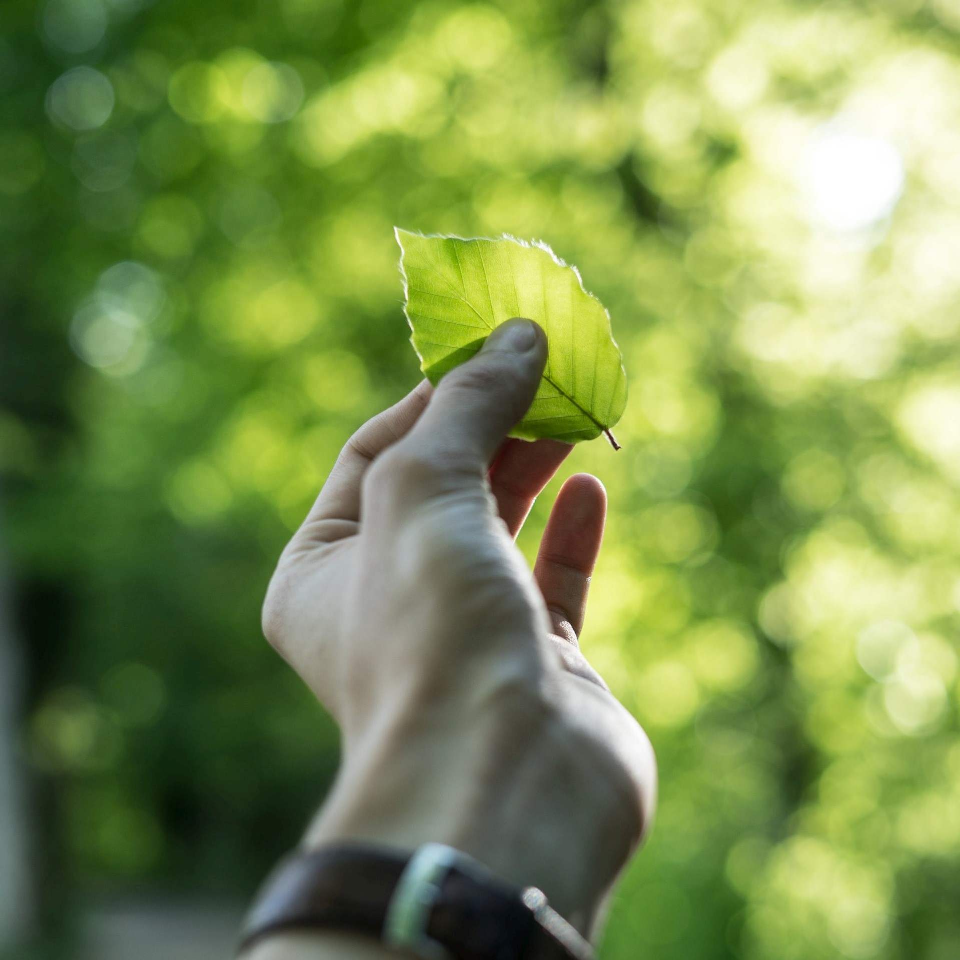 Investimento em sustentabilidade cresce na plataforma GoParity
