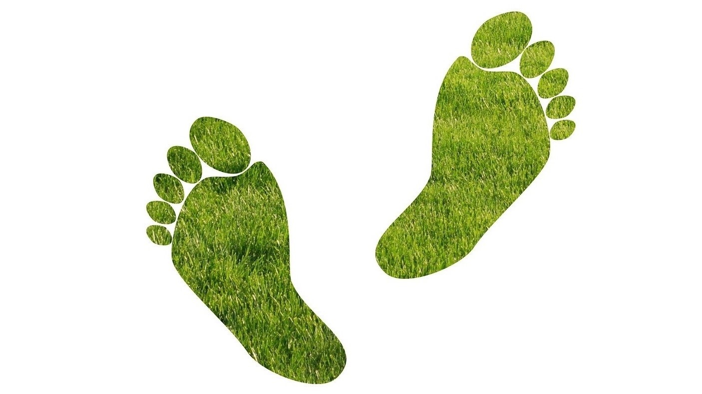 SAP lança app que calcula a pegada de carbono das empresas