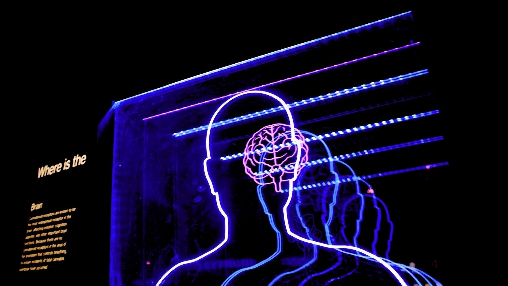 CEGOC lança Certificação Internacional em PNL