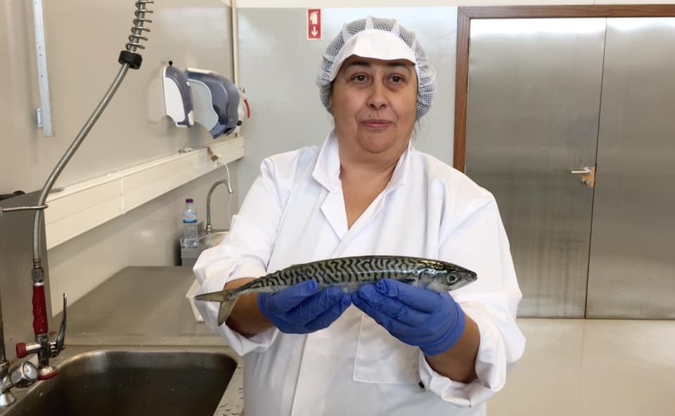 Fumeiro do Mar vence programa da EIT para mulheres empreendedoras em Portugal