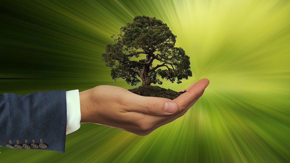 Faltam profissionais qualificados para as políticas de sustentabilidade nas empresas