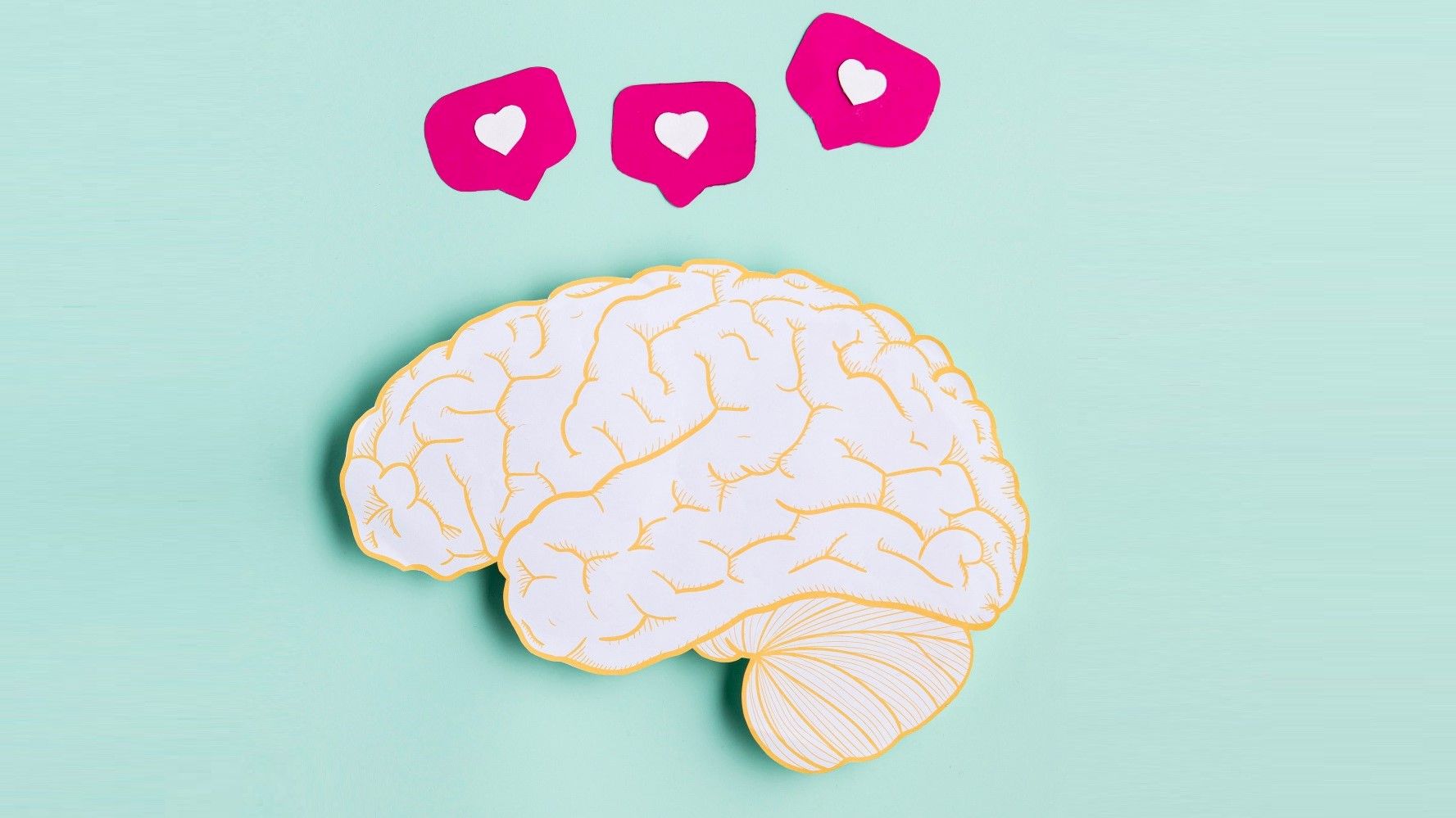 As sete marcas preferidas dos portugueses