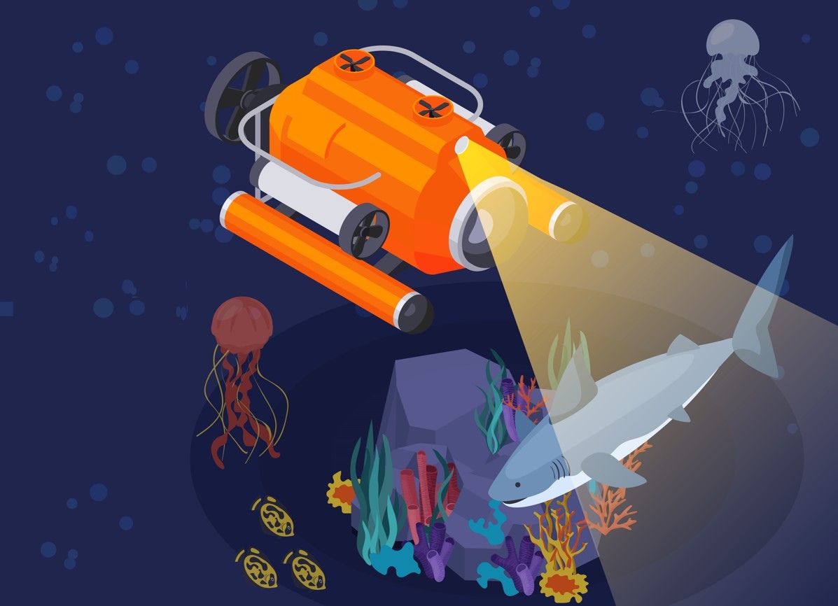 Programa de Capacitação em Empreendedorismo para Investigadores em Ciências do Mar