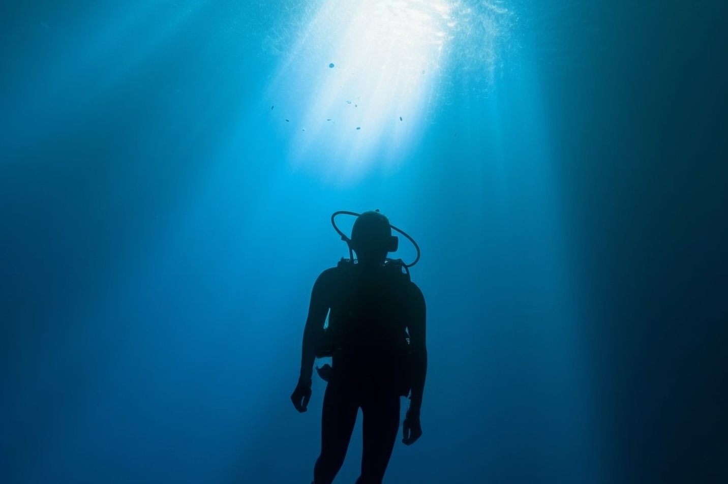 BlueTech: Programa de Inovação Impulsiona a Economia Azul