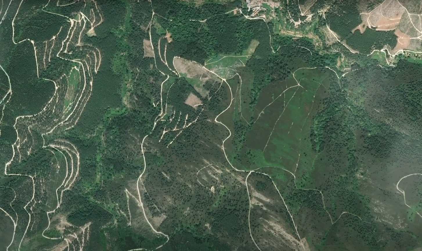 BUPi Reconhecido com Prémio Internacional de Inovação em SIG