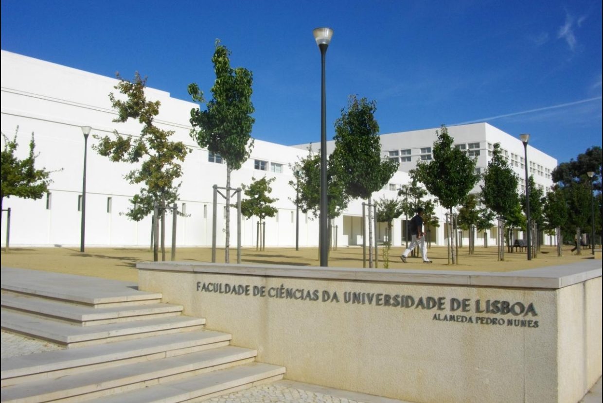 Tec Labs Demo Day: Inovação e Arte no Centro de Inovação da Universidade de Lisboa