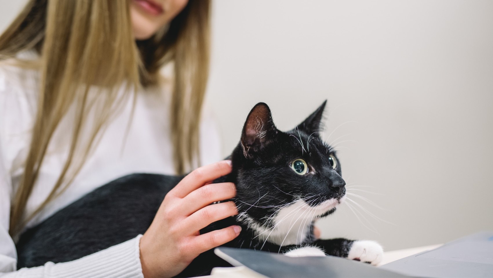 Unleashed by Purina Abre Inscrições para a 6.ª Edição do Programa de Aceleração de Startups