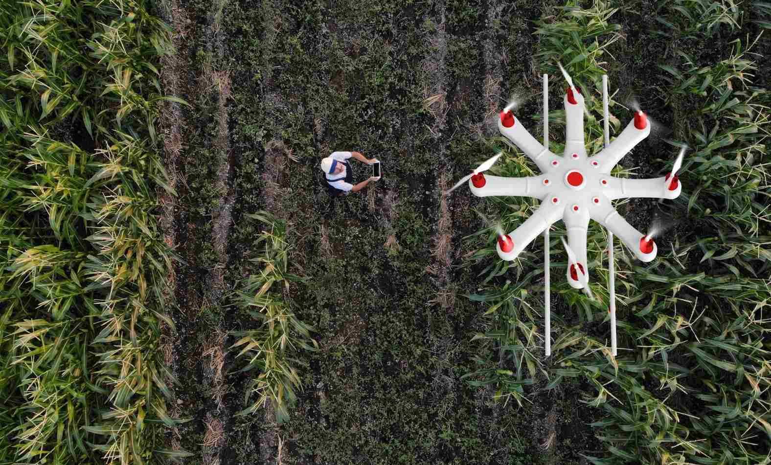 Vodafone Avança com Soluções para Impulsionar a Produtividade e Sustentabilidade na Agricultura