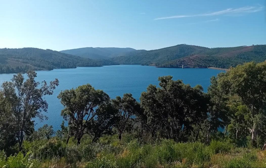 Fundão Acolhe XV Jornadas FENAREG Para Debater a Modernização do Regadio