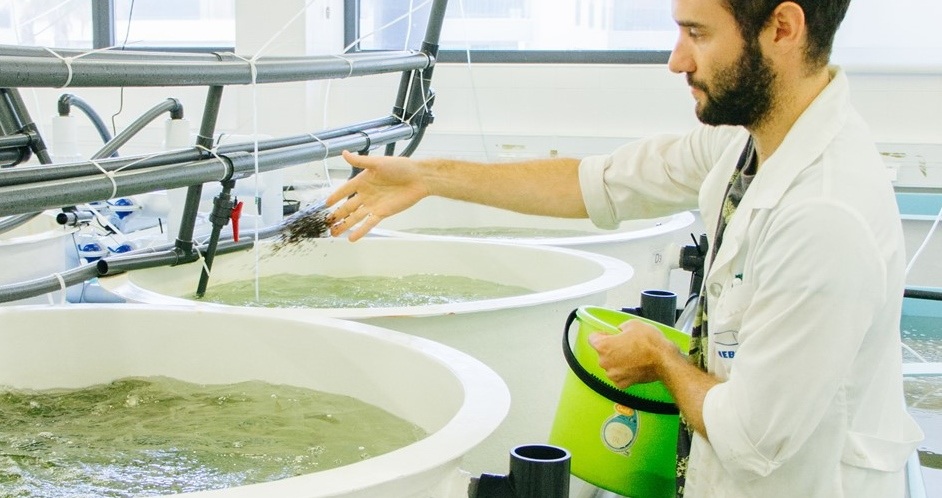 Exploração espacial: oceanos podem ser a chave para a colonização de novos mundos