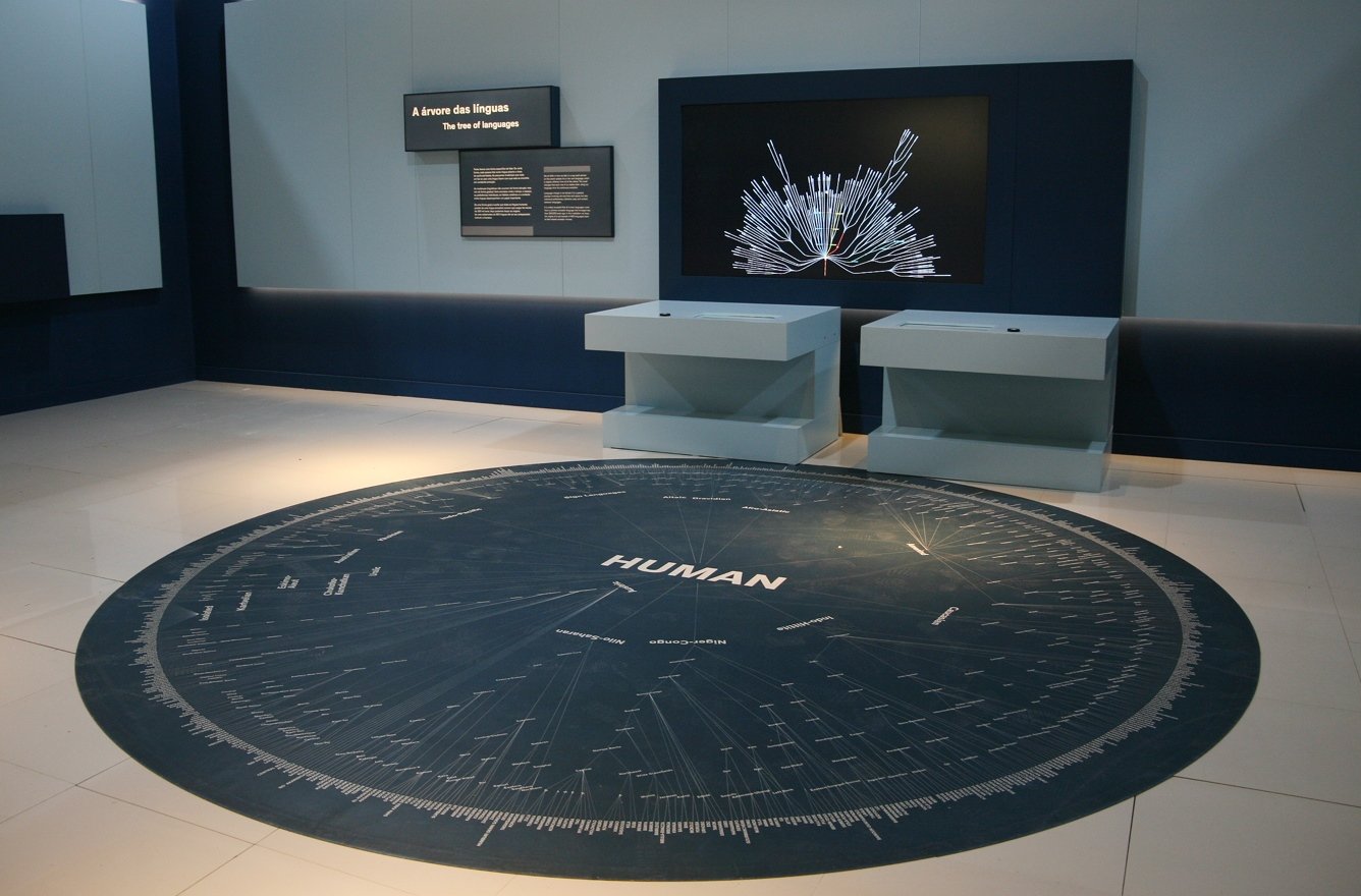 Fundação “la Caixa” e UC Exploratório firmam parceria para promoção da cultura científica