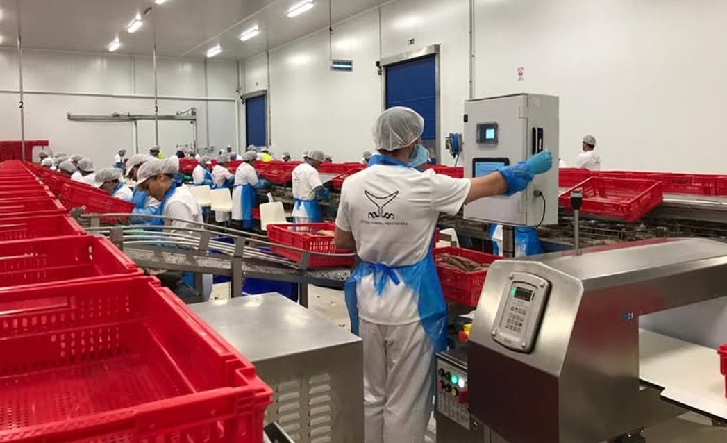 Central Lomera Portuguesa assegura futuro com reestruturação financeira de sucesso