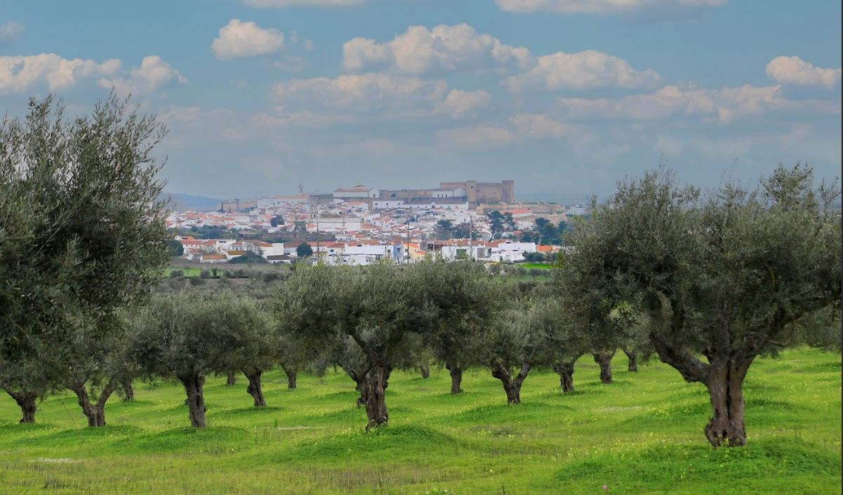 Campo Maior e recebe o Congresso Nacional do Azeite