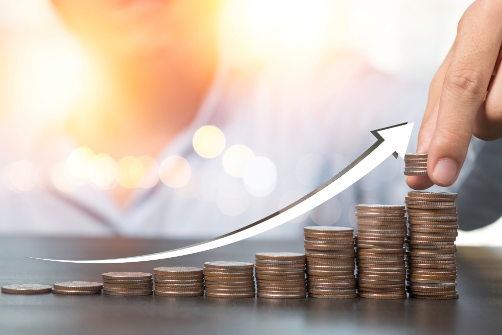 Qual a diferença entre lucro bruto e lucro líquido?