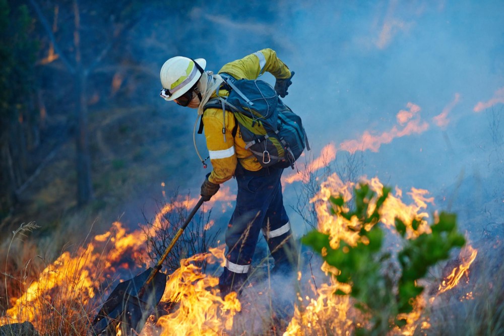 Portugal Ajuda liga vítimas de incêndios a voluntários em todo o país