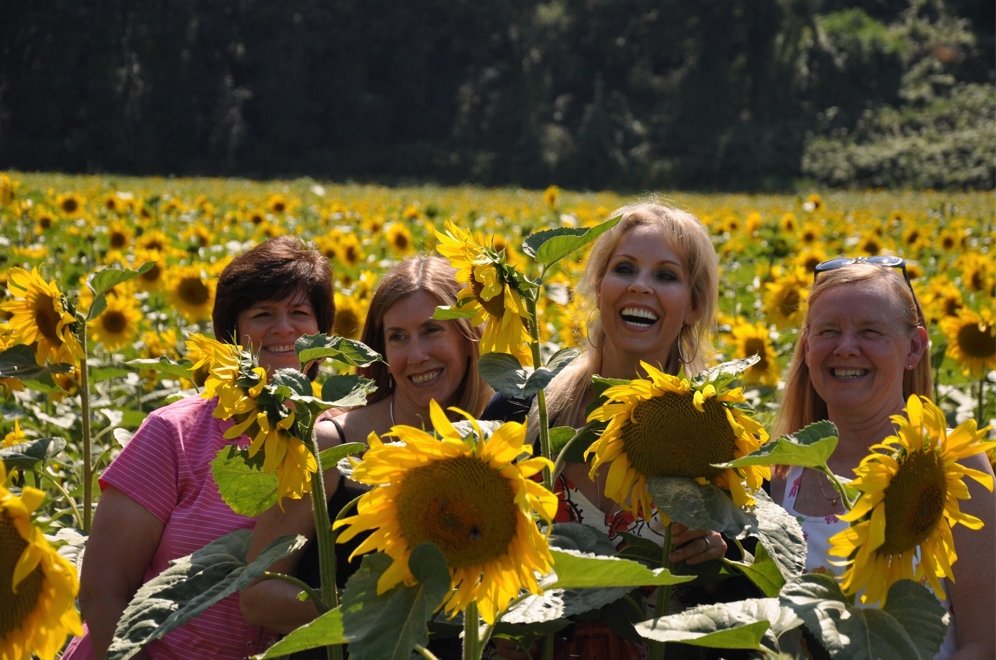 Viagens “antiluxo” conquistam mercado premium do Turismo