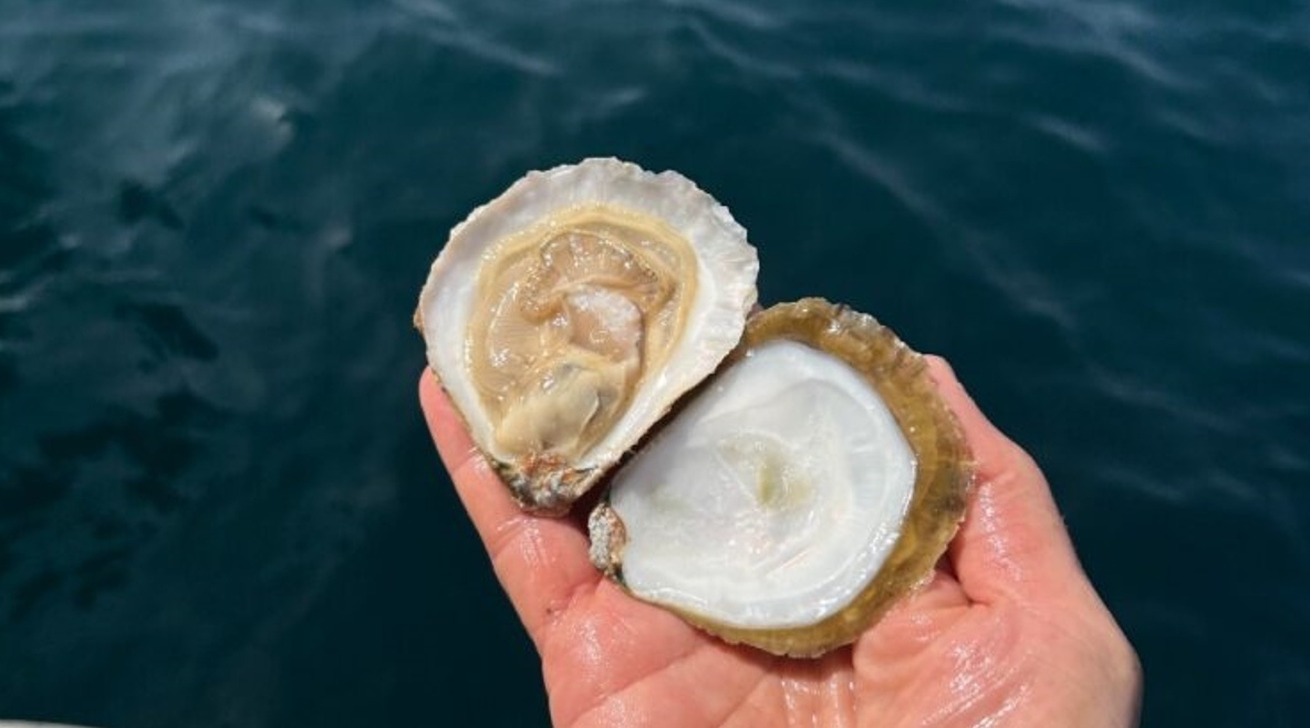 Goparity mobiliza investimento para aquicultura sustentável