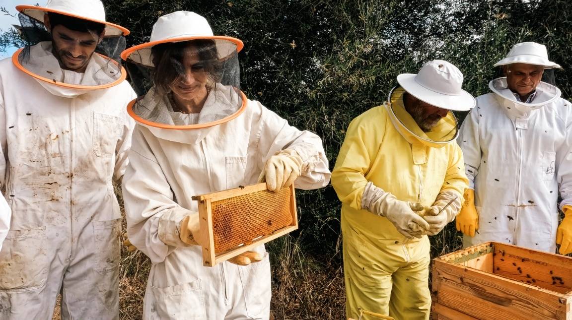 Projeto One Health Regenera para restaurar ecossistemas afetados pelos incêndios